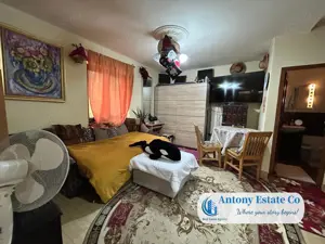 LAKESIDE HOME - Paleu - imagine 11