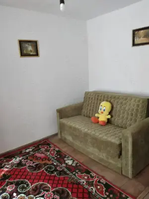 Casa si anexa de vinzare 41000 euro - imagine 3