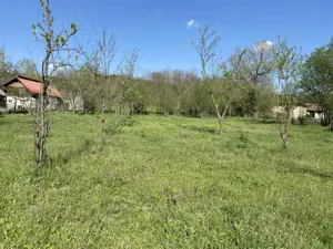 Teren arabil 1242 mp - imagine 3