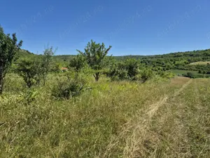 Vând teren extravilan arabil 5000 mp   Hamba   URGENT - imagine 2