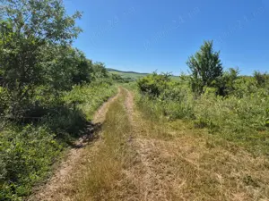 Vând teren extravilan arabil 5000 mp   Hamba   URGENT - imagine 3