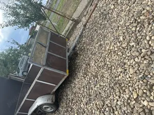 Schimb cu două oi bune  - imagine 4