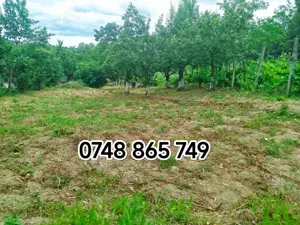 IASI_BUCIUM_Fundac Paun , casa 3 C, 83 mp, teren 2600 mp, direct PROPRIETAR  - imagine 3