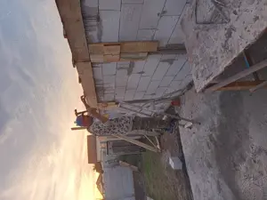 Beciuri. Executam beciuri, garduri, lucrări dulgherie - imagine 4