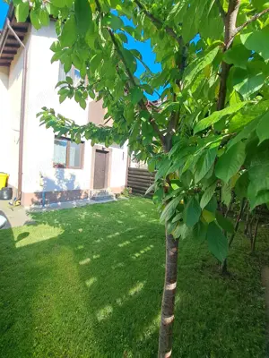 Casa de închiriat Domnesti