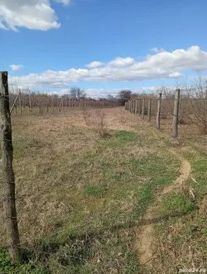 teren de vanzare