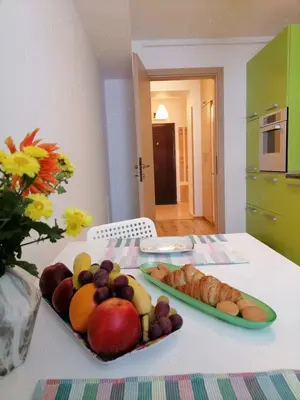 Splaiul Unirii - Confort City - apartament 2 camere si dependinte etj 5 11, suprafata totala 81,94 m - imagine 11