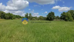 Teren intravilan de vânzare Unghi- jud. Neamt - imagine 20