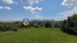 Teren intravilan de vânzare Unghi- jud. Neamt - imagine 12