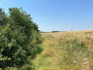 Ciolpani - Ilfov - drumul spre Izvorani, teren 4000 mp, deschidere 17,37 m - imagine 2