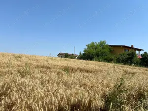 Ciolpani - Ilfov - drumul spre Izvorani, teren 4000 mp, deschidere 17,37 m - imagine 4