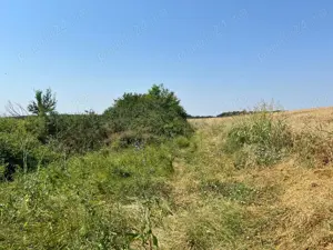 Ciolpani - Ilfov - drumul spre Izvorani, teren 4000 mp, deschidere 17,37 m