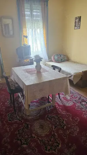 Casa de vanzare in Vraniut - imagine 10