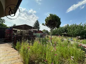 Vila deosebita langa padure si lac in Branesti  - imagine 5