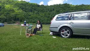 Ford Mondeo Ghia 2.0l GPL - imagine 4