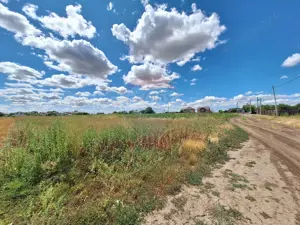 Teren Focsanei / DN sat Focsanei Vadu Pasii - imagine 7