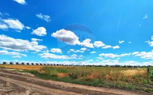 Teren Focsanei / DN sat Focsanei Vadu Pasii - imagine 3