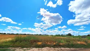 Teren Focsanei / DN sat Focsanei Vadu Pasii - imagine 5