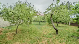 Comision 0 | Casă cu 3 camere, teren 1541 mp, livadă, beci și garaj - imagine 2