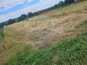 Teren 1,945mp Sarasau / Drumul PRINCIPAL - imagine 2