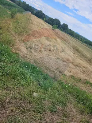 Teren 1,945mp Sarasau / Drumul PRINCIPAL - imagine 3