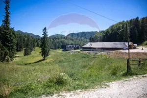 Teren 56599mp Dambovicioara / Soseaua DN 73Dealul sasului!