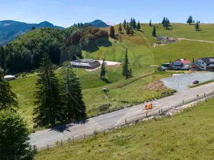 Teren 56599mp Dambovicioara / Soseaua DN 73Dealul sasului!