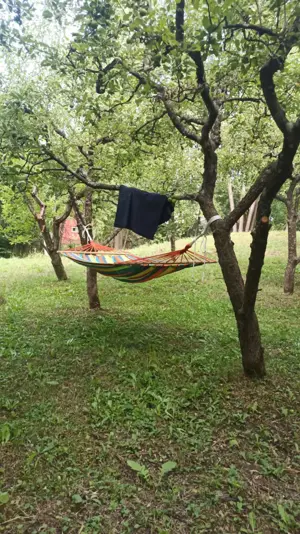 Teren intravilan cu casă și livadă 