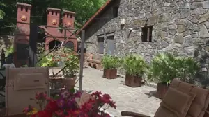 Vila de vanzare in Campina - Lunca Mare, teren 16500 MP - imagine 8