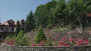 Vila de vanzare in Campina - Lunca Mare, teren 16500 MP - imagine 4