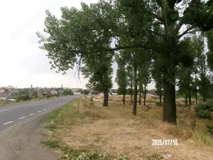 1000 mp intravilan construibil - imagine 2