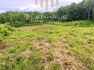 Teren intravilan 25 ari în Satu Nou de Jos – oportunitate excelentă - imagine 5