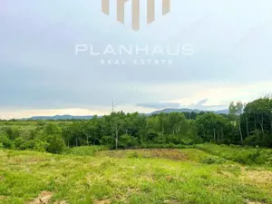 Teren intravilan 25 ari în Satu Nou de Jos – oportunitate excelentă - imagine 4