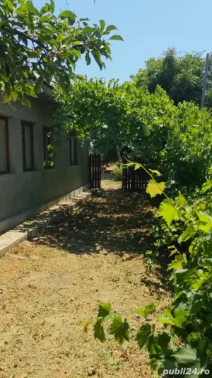    Casă bătrânească la șosea principală   Ograda, Ialomița     - imagine 2