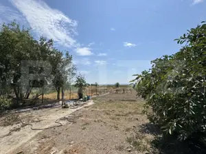 Casa pe parter Carna, 100 mp, 1500 mp teren - imagine 13