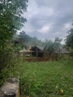 vind teren+cladiri in Slanic Prahova. - imagine 3