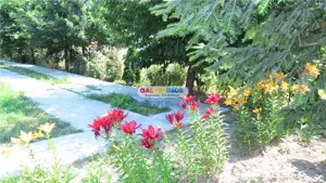 Curtesti, Botosani , Teren generos cu casa si anexa! - imagine 15