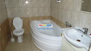 Curtesti, Botosani , Teren generos cu casa si anexa! - imagine 3