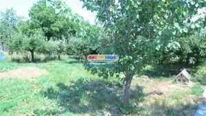 Curtesti, Botosani , Teren generos cu casa si anexa! - imagine 13