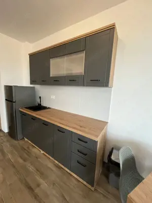 Studio Costinesti Beach Please - imagine 7