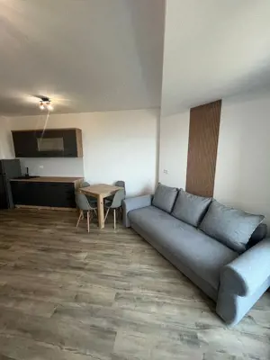 Studio Costinesti Beach Please - imagine 4