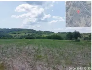 Teren extravilan loc. , Jud Gorj - imagine 2