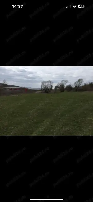 Teren extravilan 2800 m Pătrați Eremitu Mureș  - imagine 3