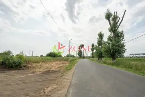 Teren Cernica,pentru Dezvoltare Rezidențială sau Industriala  - imagine 17