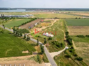 Teren Cernica,pentru Dezvoltare Rezidențială sau Industriala  - imagine 12