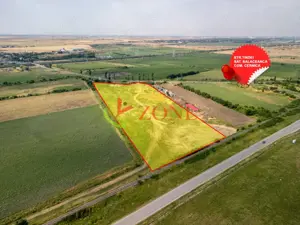 Teren Cernica,pentru Dezvoltare Rezidențială sau Industriala  - imagine 3