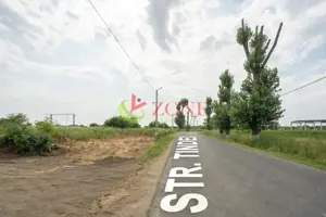 Teren Cernica,pentru Dezvoltare Rezidențială sau Industriala  - imagine 15