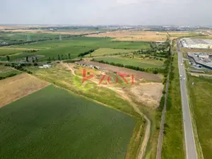 Teren Cernica,pentru Dezvoltare Rezidențială sau Industriala  - imagine 9