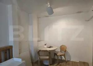 Apartament cu 2 camere, parter, Zona Bila - imagine 4