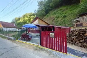 Casa renovata cu acces usor, langa padure - imagine 2